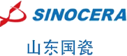 国家电投